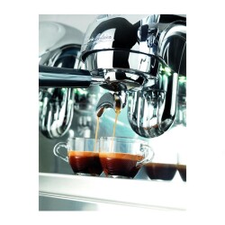 Victoria Arduino Adonis Style Core Espresso Kahve Makinesi, 2 Gruplu, Metalik - 4