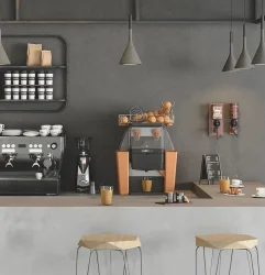 Zummo Z06 Nature Otomatik Narenciye Portakal Sıkma Makinesi, (GRAFİT - KAHVERENGİ - TURUNCU - BEJ - INOX) - 3